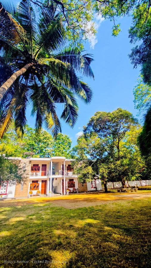 Jay'S Avenue Ξενοδοχείο Udawalawe Εξωτερικό φωτογραφία